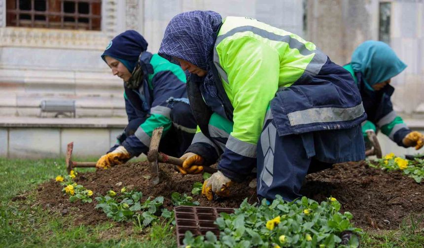 Bursa kışın da çiçek bahçesine dönüşüyor
