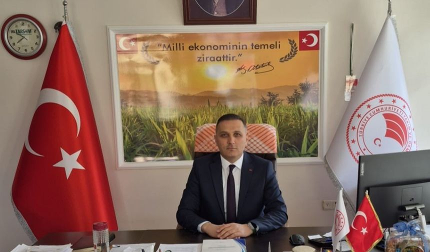 Çiftçilere yüzde 50 hibeli ayçiçeği tohumu dağıtılacak