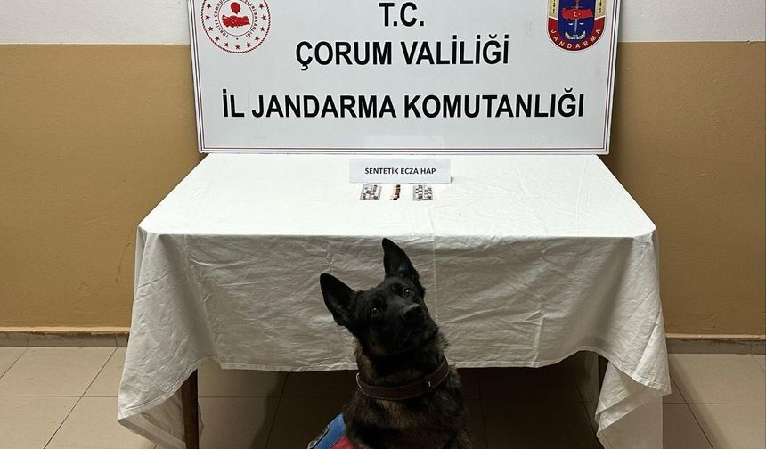 Çorum'da uyuşturucu hapla yakalanan 3 kişi gözaltına alındı