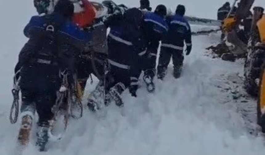 Ekipler enerji için seferber oldu: Ekipler direkleri sırtında taşıdı