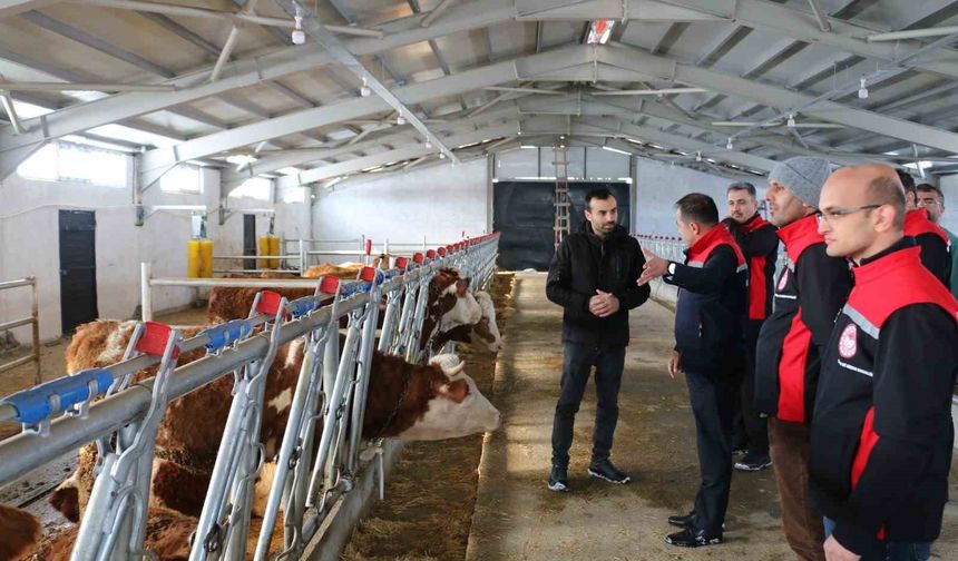 Erzincan'da hibe desteğiyle kurulan tesis üretime başladı