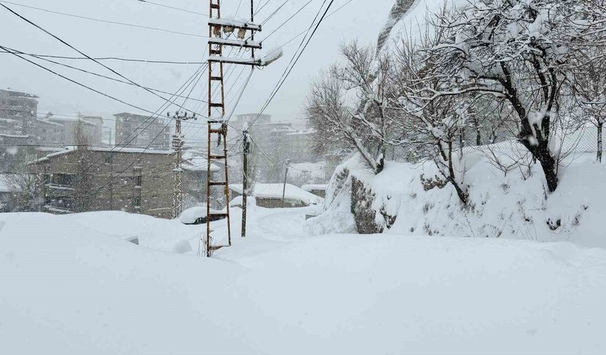 Hakkari'de 43 yerleşim yerinin yolu ulaşıma kapandı