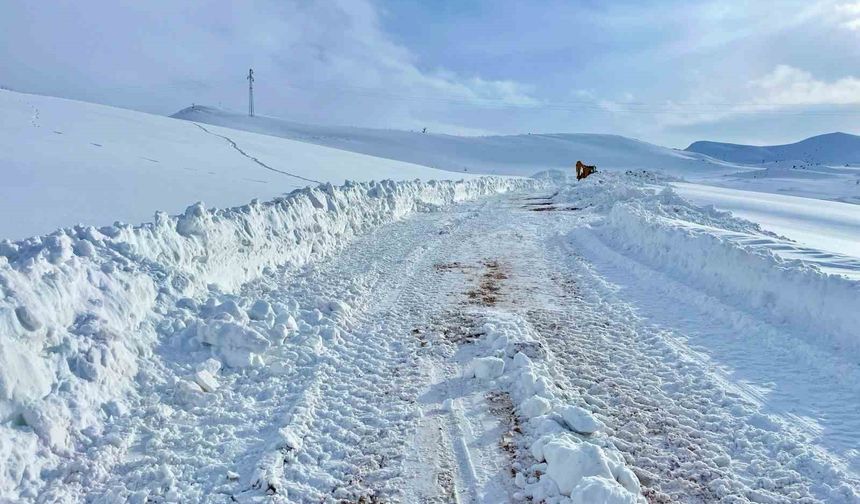 Kar kalınlığının yer yer 2 metreyi bulduğu bölgede yol açma çalışması