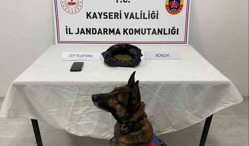 Kayseri'de uyuşturucu operasyonu: 1 gözaltı