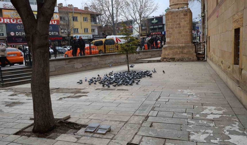 Kırşehir'de tarihi Kapucu Camii güvercinlerin yuvası oldu