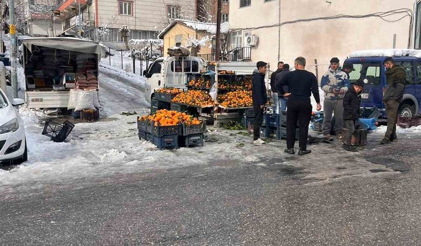Kulp'ta kar esareti: Pazar esnafının büyük çoğunluğu tezgah açamadı