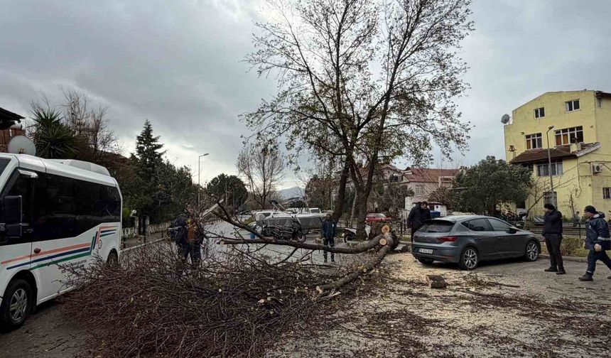 Marmaris'te şiddetli fırtına etkisini sürdürüyor