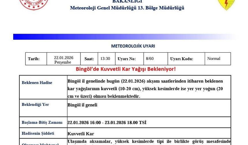Meteorolojiden Bingöl için kuvvetli kar yağışı uyarısı