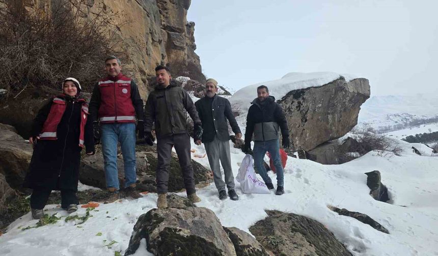 Muradiye'de yaban hayvanları için doğaya yem bırakıldı
