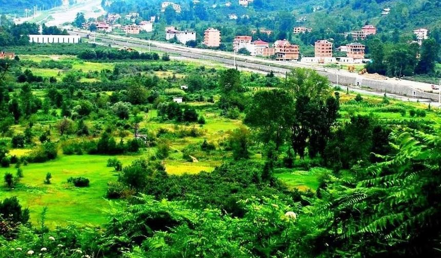 Öğretim Görevlisi Mehmet Akif Bal: 'Karadere Vadisi acilen tarımsal üretim üssü haline getirilmeli'