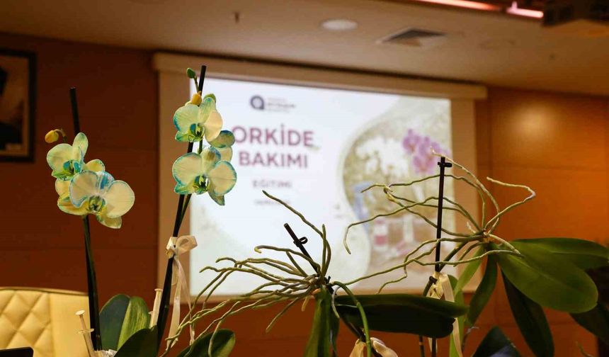 Orkide bakımı uygulamalı olarak anlatıldı