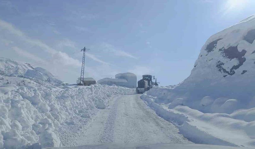 Şırnak'ta karlı yollar tek tek açılıyor