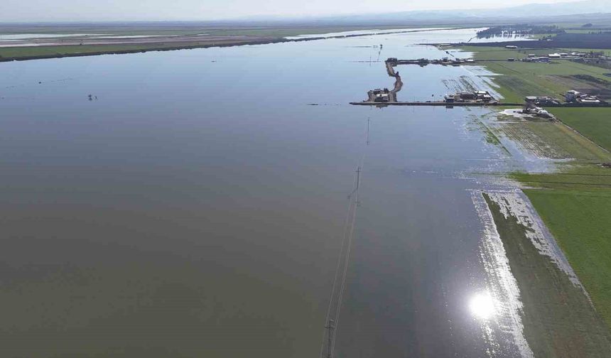 Son 65 yılın en kurak yılını geride bırakan Hatay'da etkili olan yağışla tarım arazileri su altında kaldı