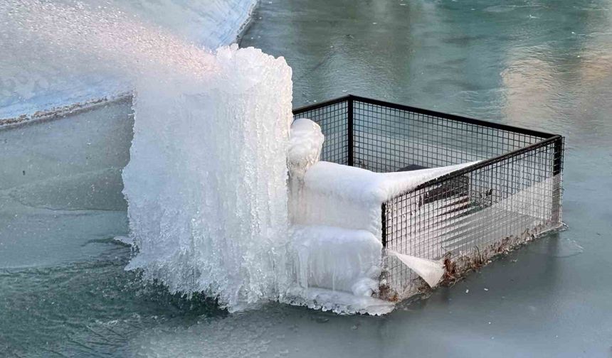 Süs havuzları buz heykeline dönüştü