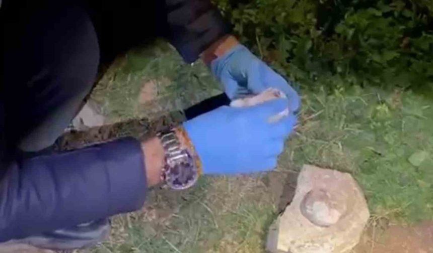 Taşın altında zulalanan satışa hazır uyuşturucu polisin dikkatiyle bulundu