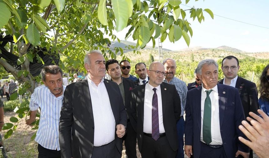 Trabzon hurması, dut ve incire destek ödemesi başladı