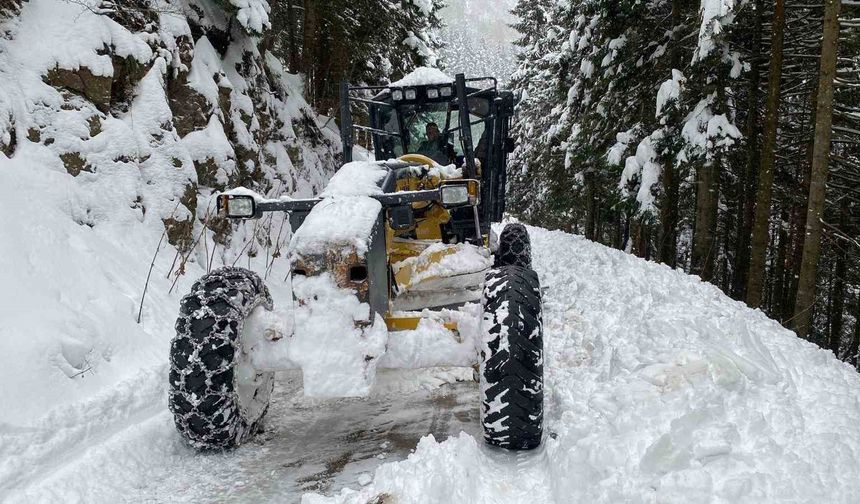 Trabzon'da 70 mahalleye kar nedeniyle ulaşım sağlanamıyor