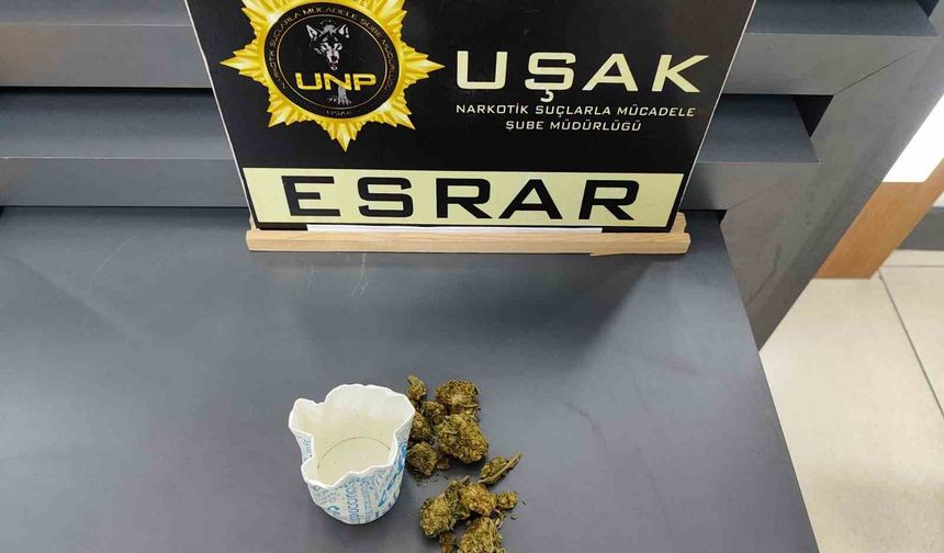 Uşak'ta çok sayıda uyuşturucu madde ele geçirildi