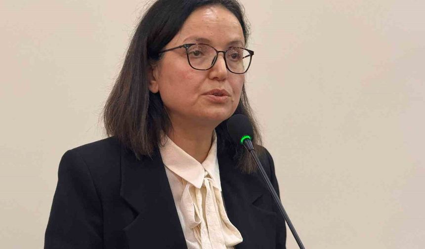 Vali Kaya'ya veda gecesi