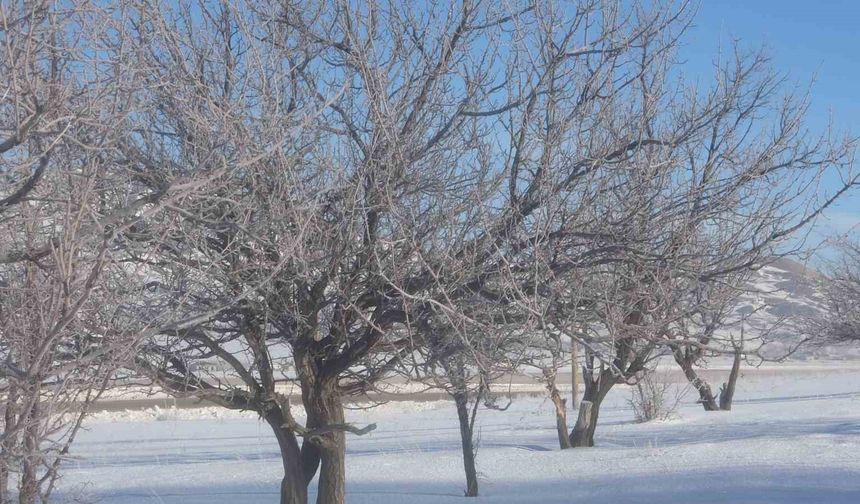 Van'da Sibirya soğukları hayatı olumsuz etkiliyor