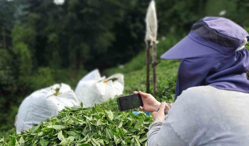 Rize'de çay bahçesinde milli maç heyecanı