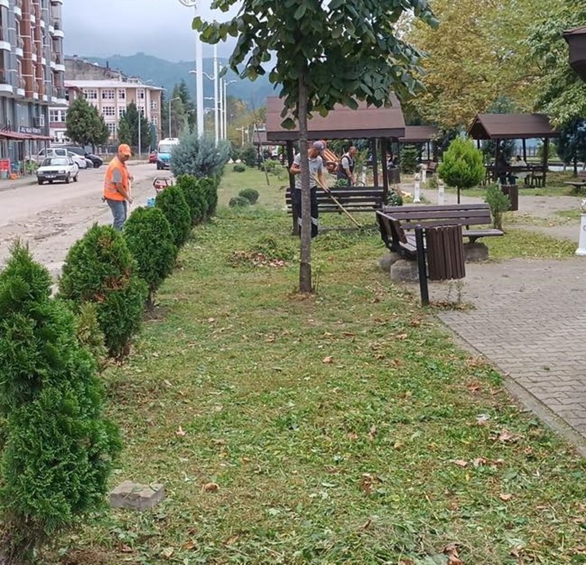 Çayeli'de Temizlik ve Çevre Düzenlemesi İçin Toplumsal Dayanışma