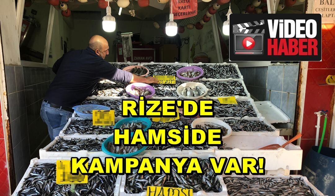 Rize'de Hamside Kampanya Var! 18 Kiloluk Hamsi Kasası...