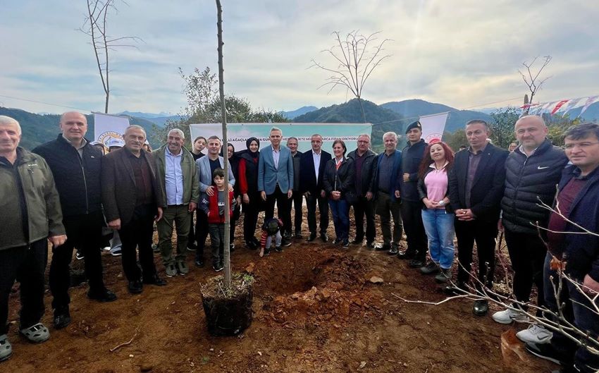 Ciha Kalesi Narenciye Fidanları İle Yeşerecek