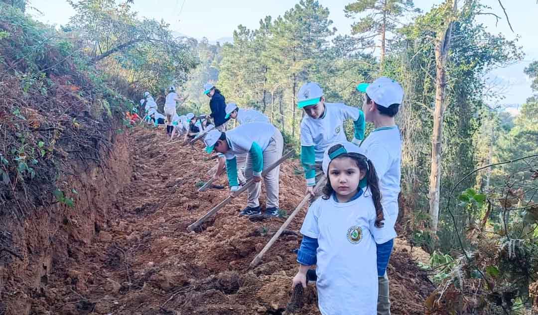 AĞAÇLANDIRMA DOĞU KARADENİZ (1)