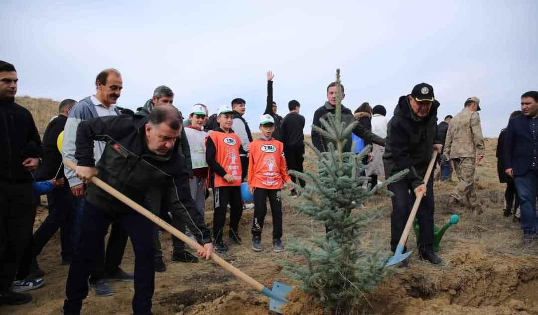 AĞAÇLANDIRMA DOĞU KARADENİZ (3)