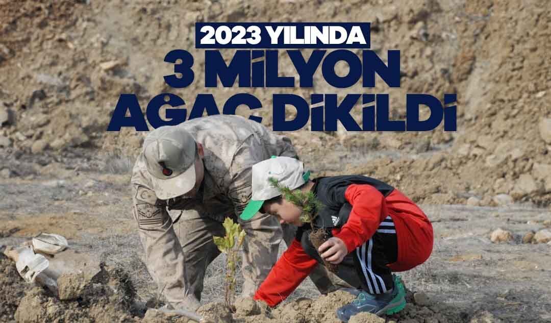 Doğu Karadeniz’in 625 Bin Hektarlık Ormanına 3 Milyon Ağaç Takviyesi