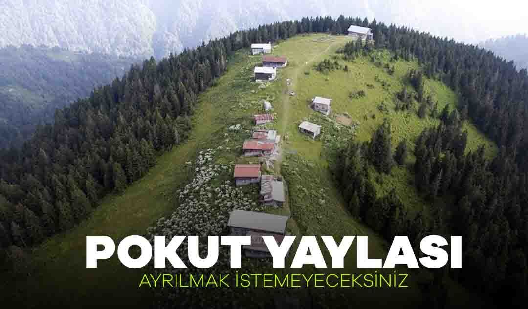 Pokut Yaylası Nerede, Nasıl Gidilir?
