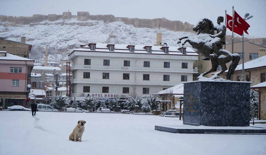 Bayburt Yeniden Beyazlara Büründü (3)