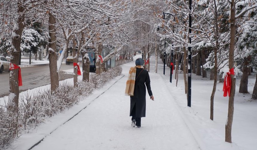 Erzurum Güne Beyaz Örtü Ile Uyandı2