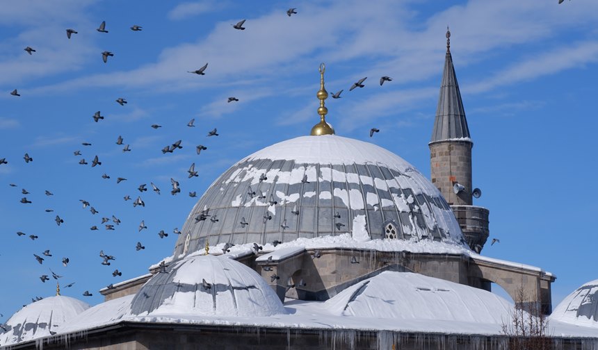 Erzurum’datermometreler 24,6’Yı,Gösterdi (2)