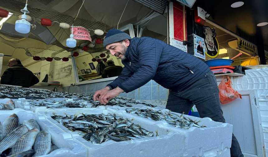 Rize'de Hamsi Yerini İstavrite Kaptırdı (3)