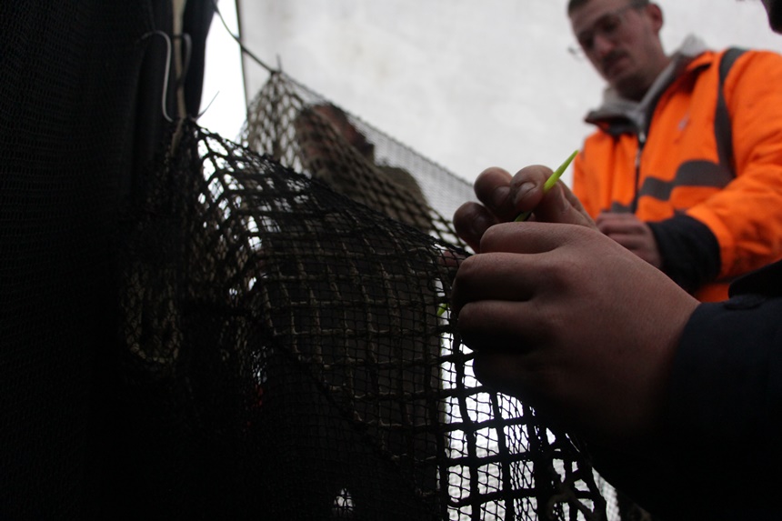 Aw167919 07Karadeniz'de Balıkçılar Erken 'Paydos' Dedi