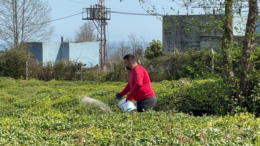 Rize’de 2024 Yılı Yaş Çay Sezonu Için Hazırlıklar Sürüyor (1)