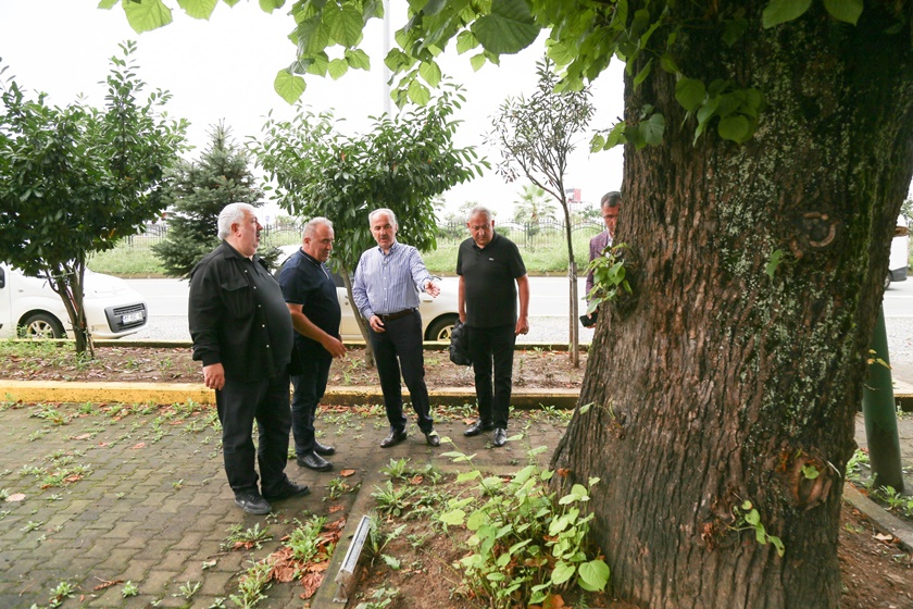 Güncel53538706240 1188734486622015 5058266198225443834 Nrize Belediye Başkanı Rahmi Metin Esnaf Ve Vatandaşlarla İstişarede Bulundu